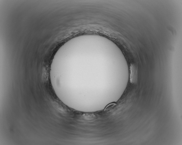 X0000108481491200904171559