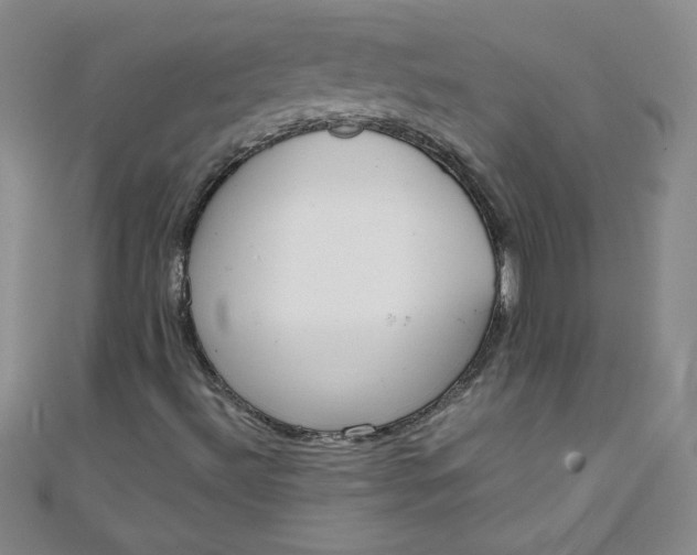 X0000108481492200904171559