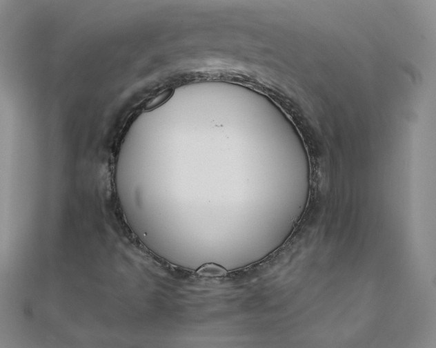 X0000108481493200904171559