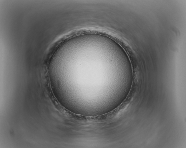 X0000108481494200904171559