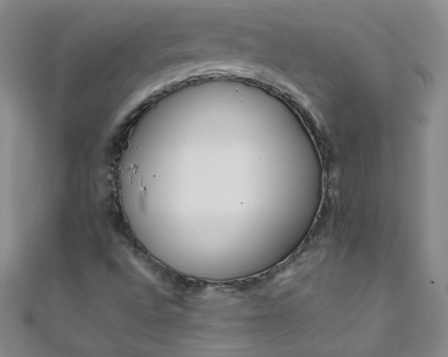 X0000108481496200904171559