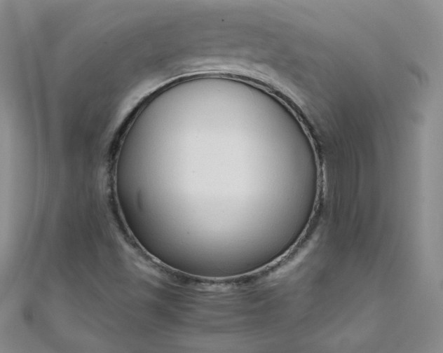 X0000108481501200904171559