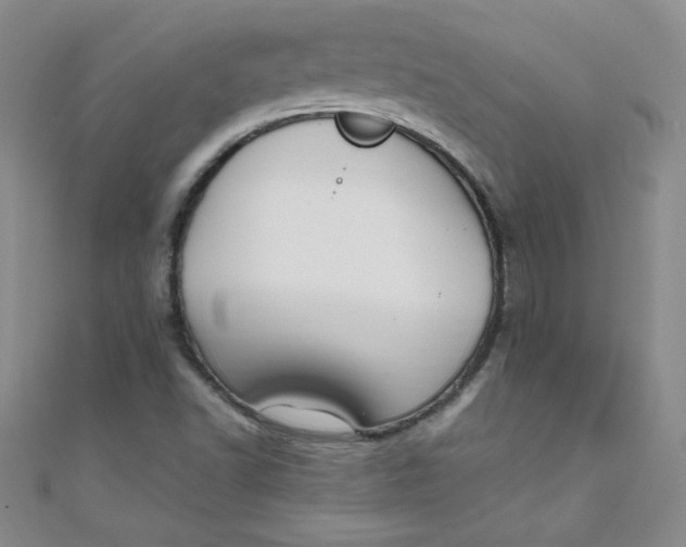 X0000108481502200904171559