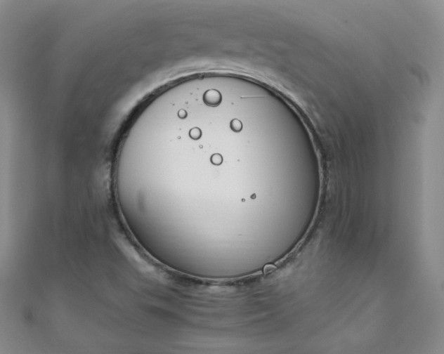 X0000108481503200904171559