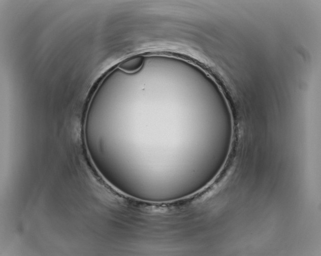 X0000108481505200904171559