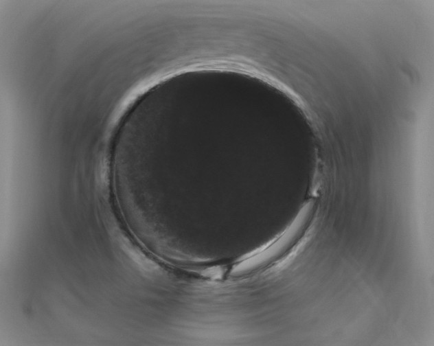 X0000108481506200904171559