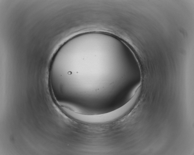 X0000108481508200904171559
