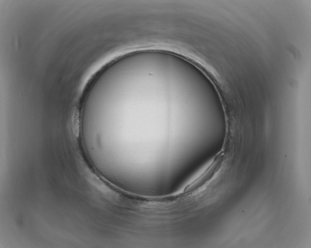 X0000108481510200904171559