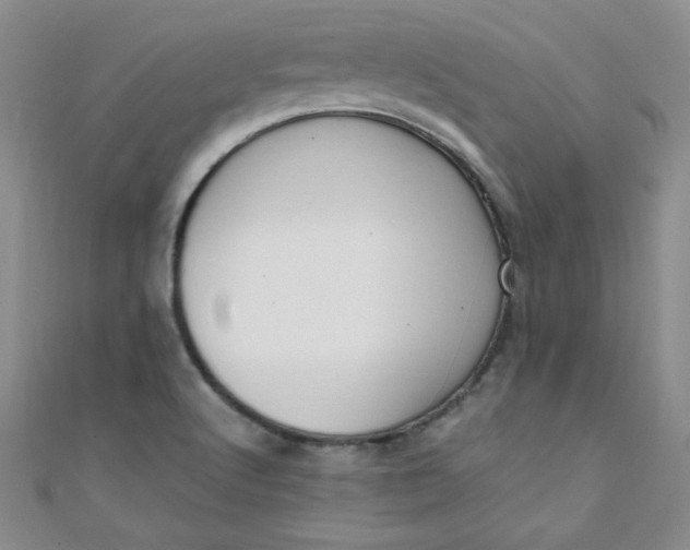 X0000108481512200904171559