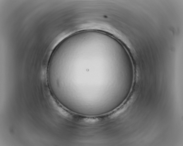 X0000108481513200904171559