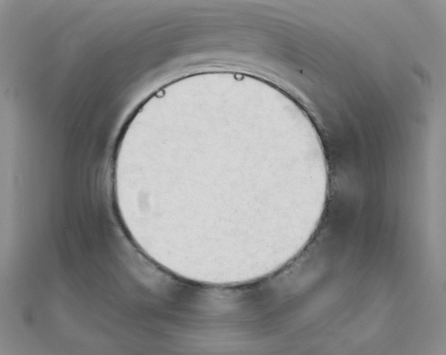 X0000108481514200904171559