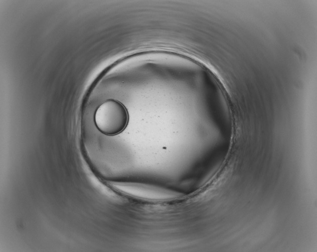 X0000108481515200904171559