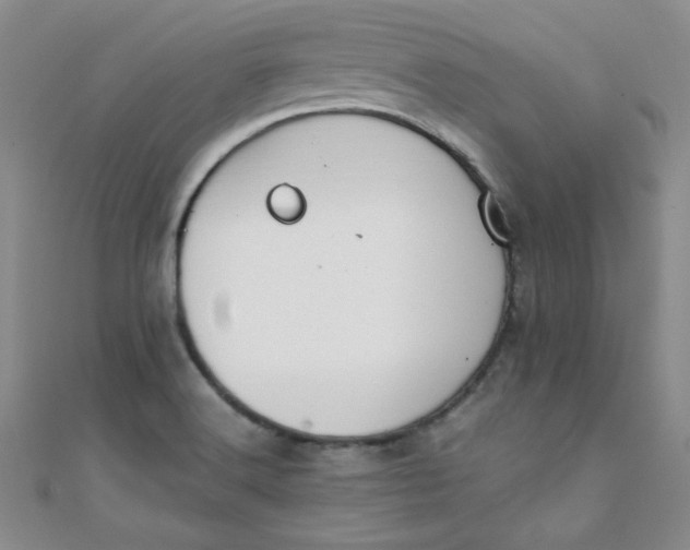 X0000108481516200904171559