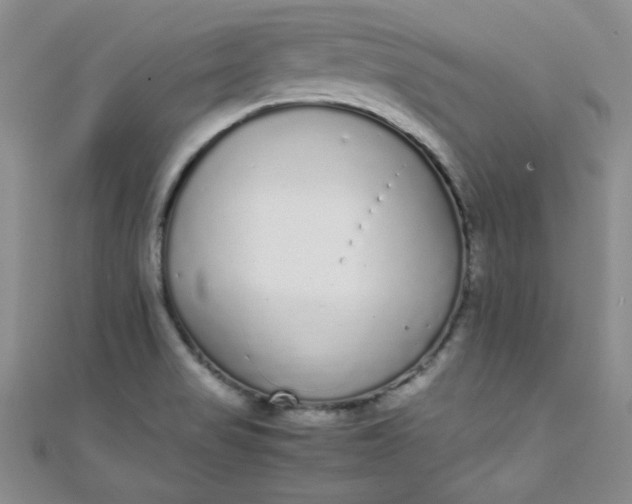X0000108481517200904171559