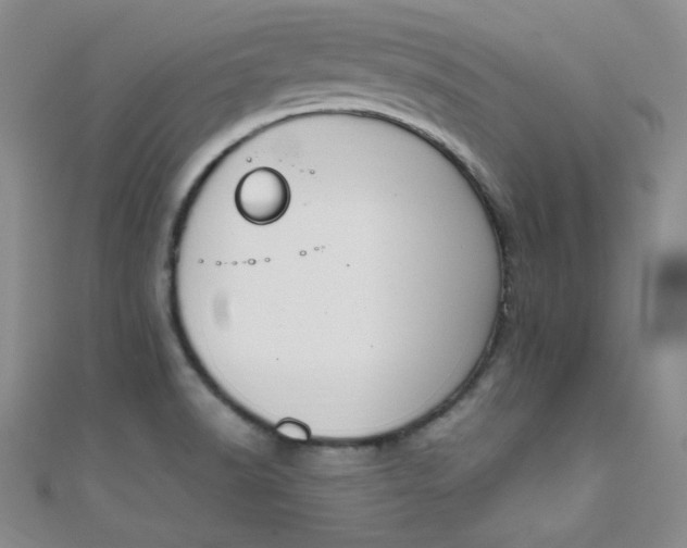 X0000108481518200904171559