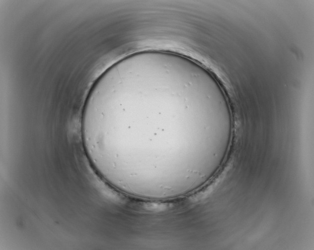 X0000108481521200904171559