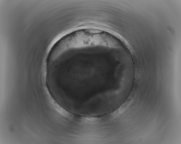 X0000108481522200904171559