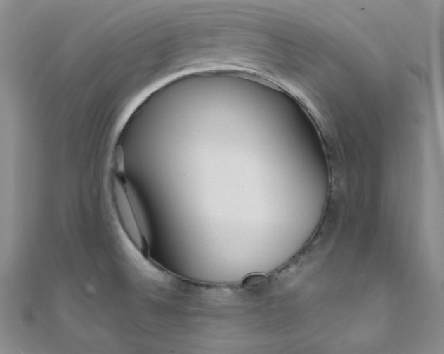 X0000108481524200904171559