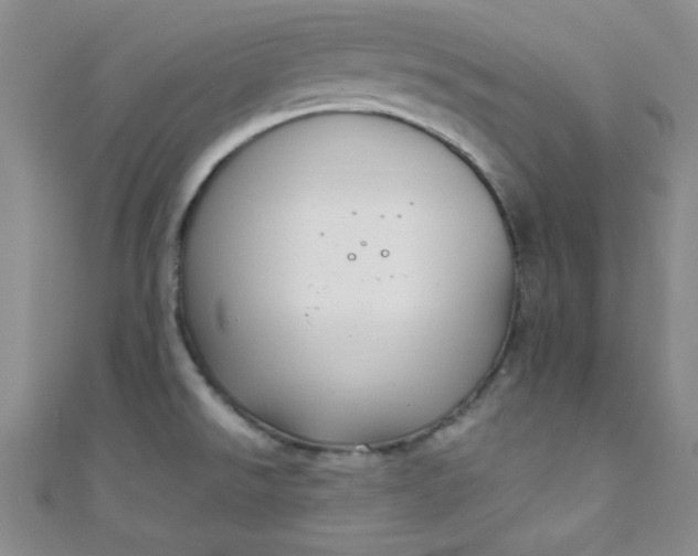 X0000108481526200904171559