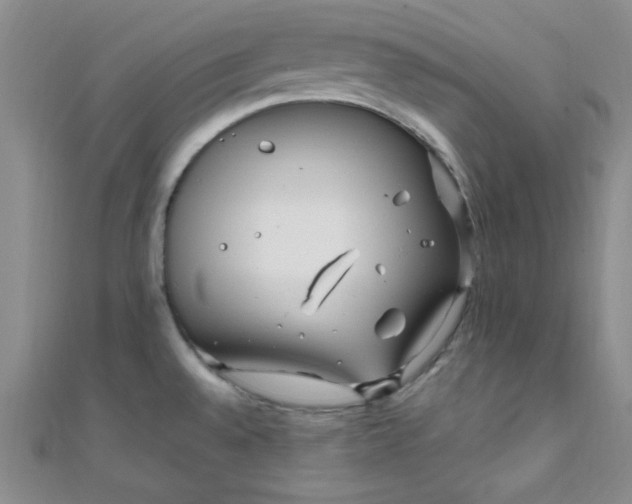 X0000108481528200904171600