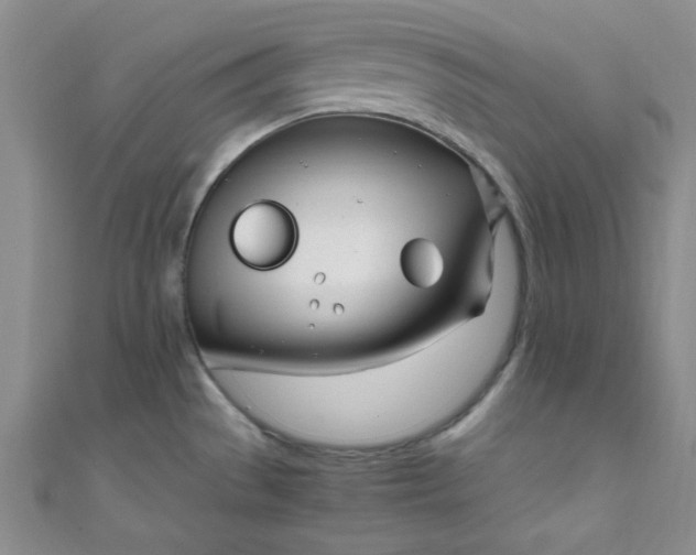 X0000108481529200904171600