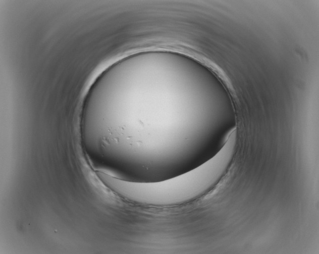 X0000108481530200904171600