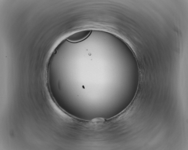 X0000108481531200904171600