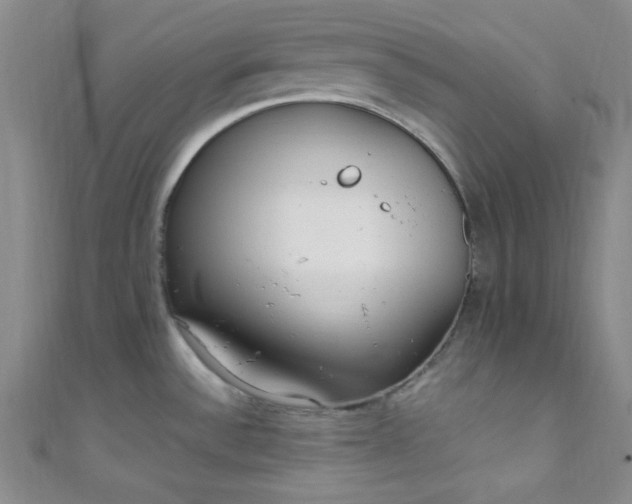 X0000108481532200904171600