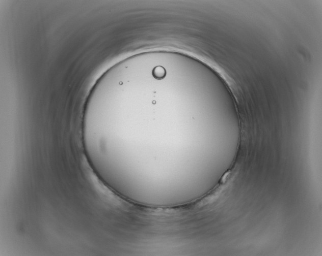 X0000108481534200904171600