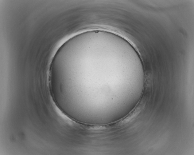 X0000108481535200904171600