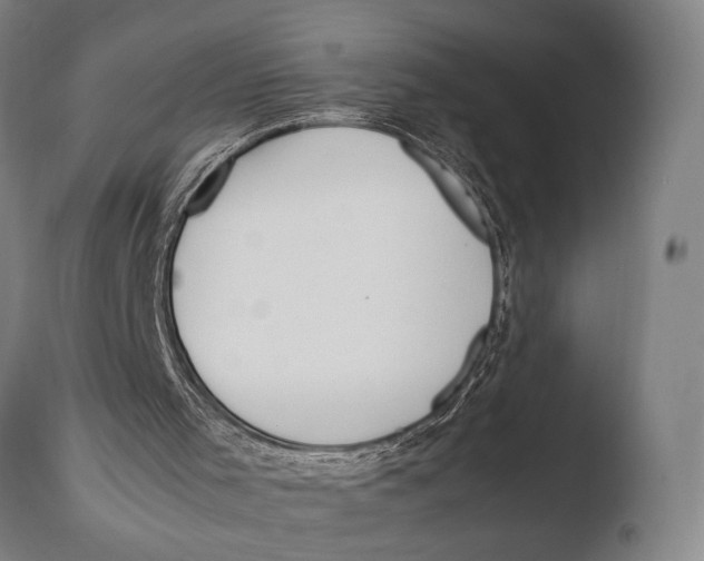 X0000108480001200904241311