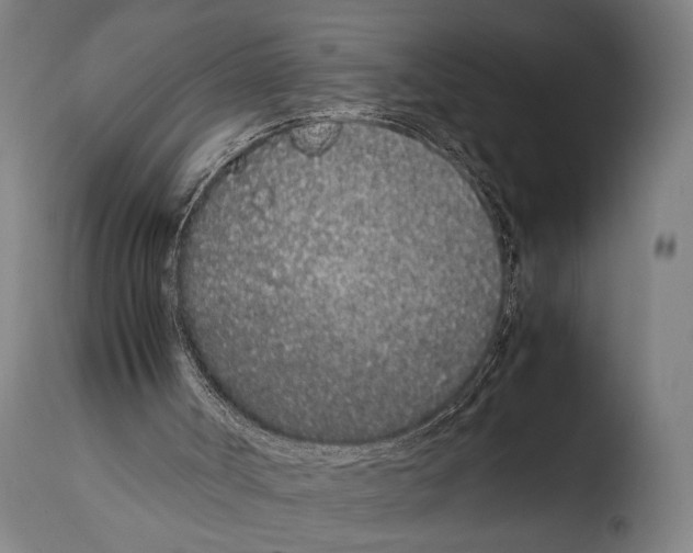 X0000108480002200904241311
