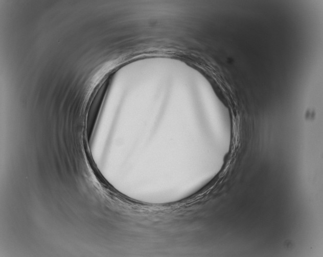 X0000108480003200904241311
