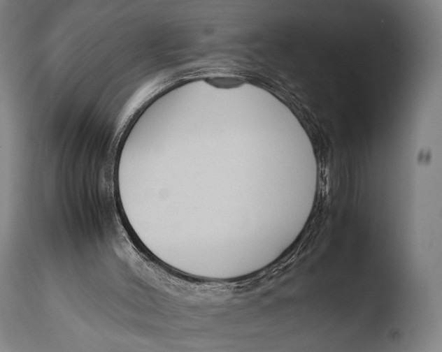 X0000108480004200904241311