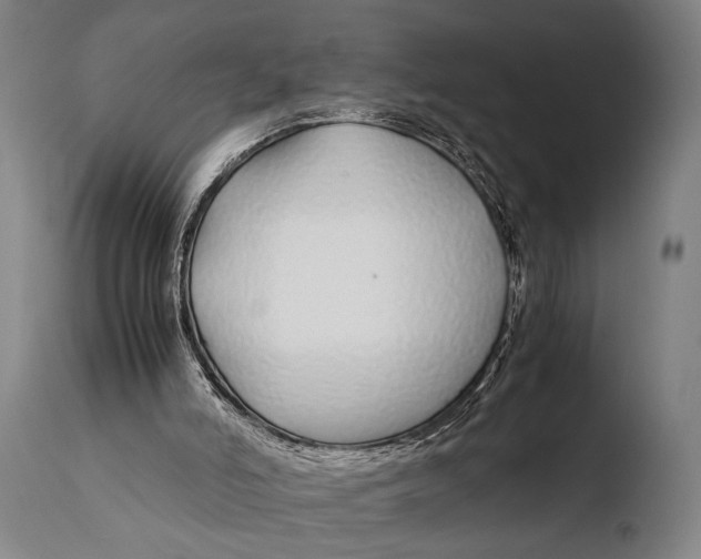 X0000108480006200904241311