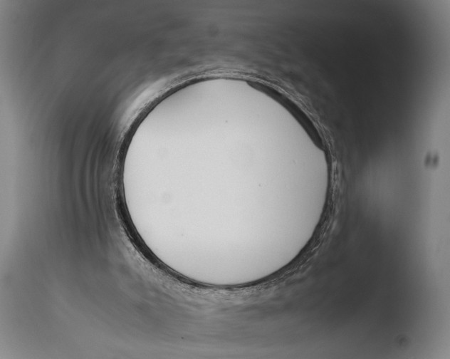X0000108480007200904241311