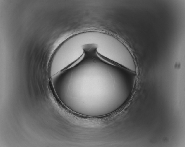 X0000108480008200904241311