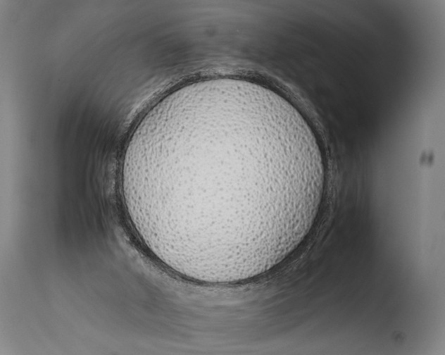 X0000108480010200904241311