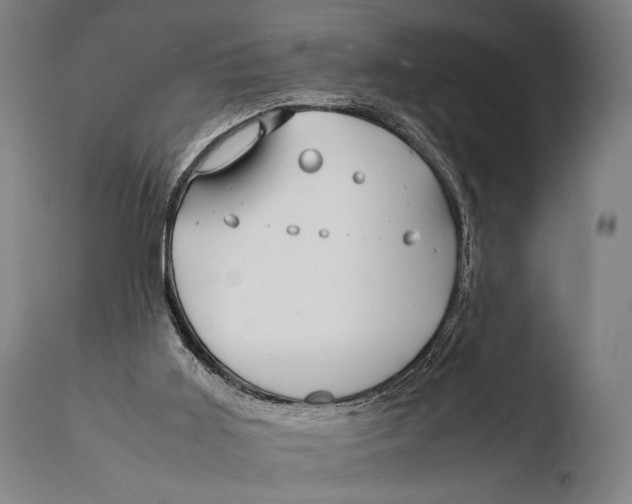 X0000108480011200904241311
