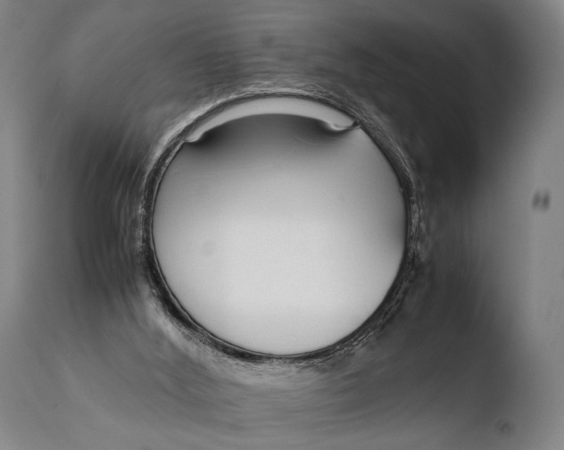 X0000108480012200904241311