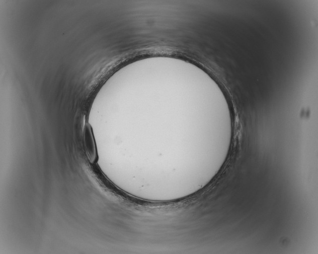 X0000108480013200904241311