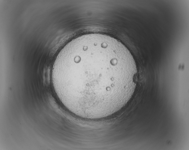 X0000108480014200904241311