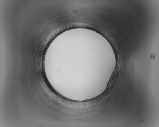 X0000108480015200904241311