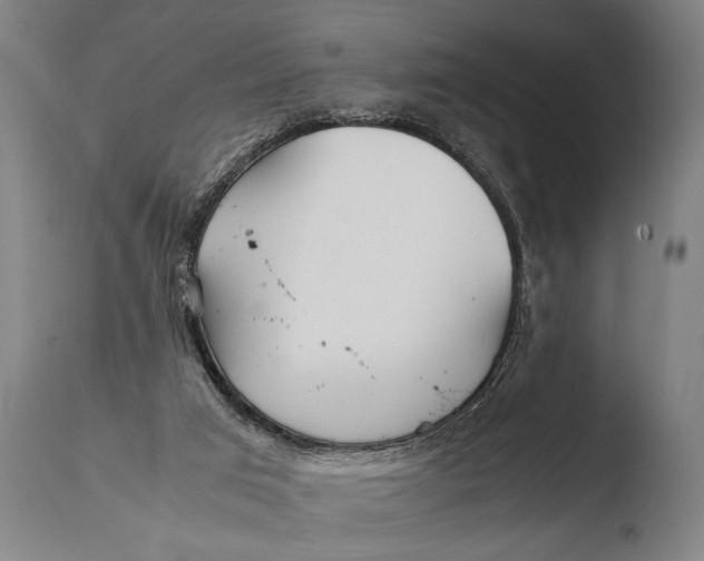 X0000108480017200904241311