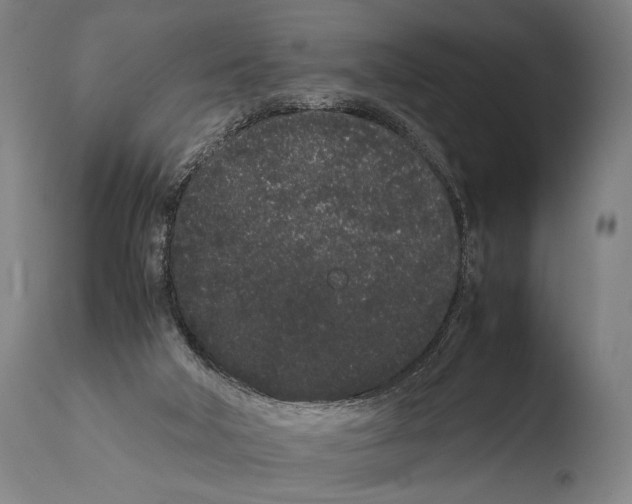 X0000108480018200904241311