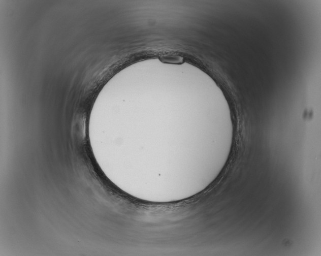 X0000108480021200904241311