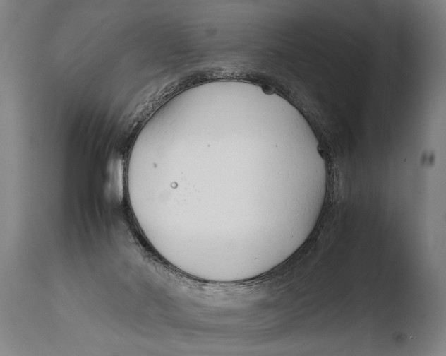 X0000108480022200904241311