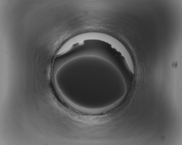X0000108480023200904241311