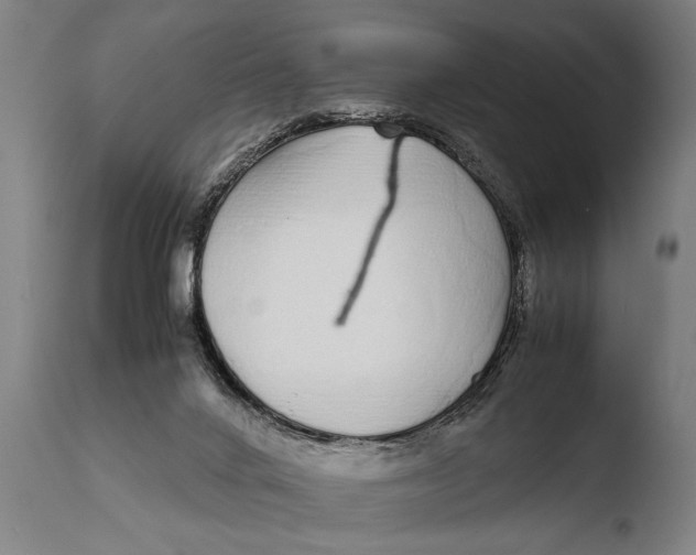 X0000108480024200904241311