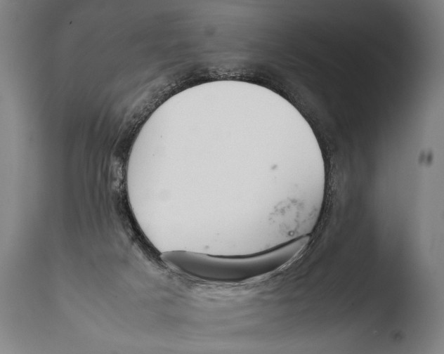 X0000108480025200904241311